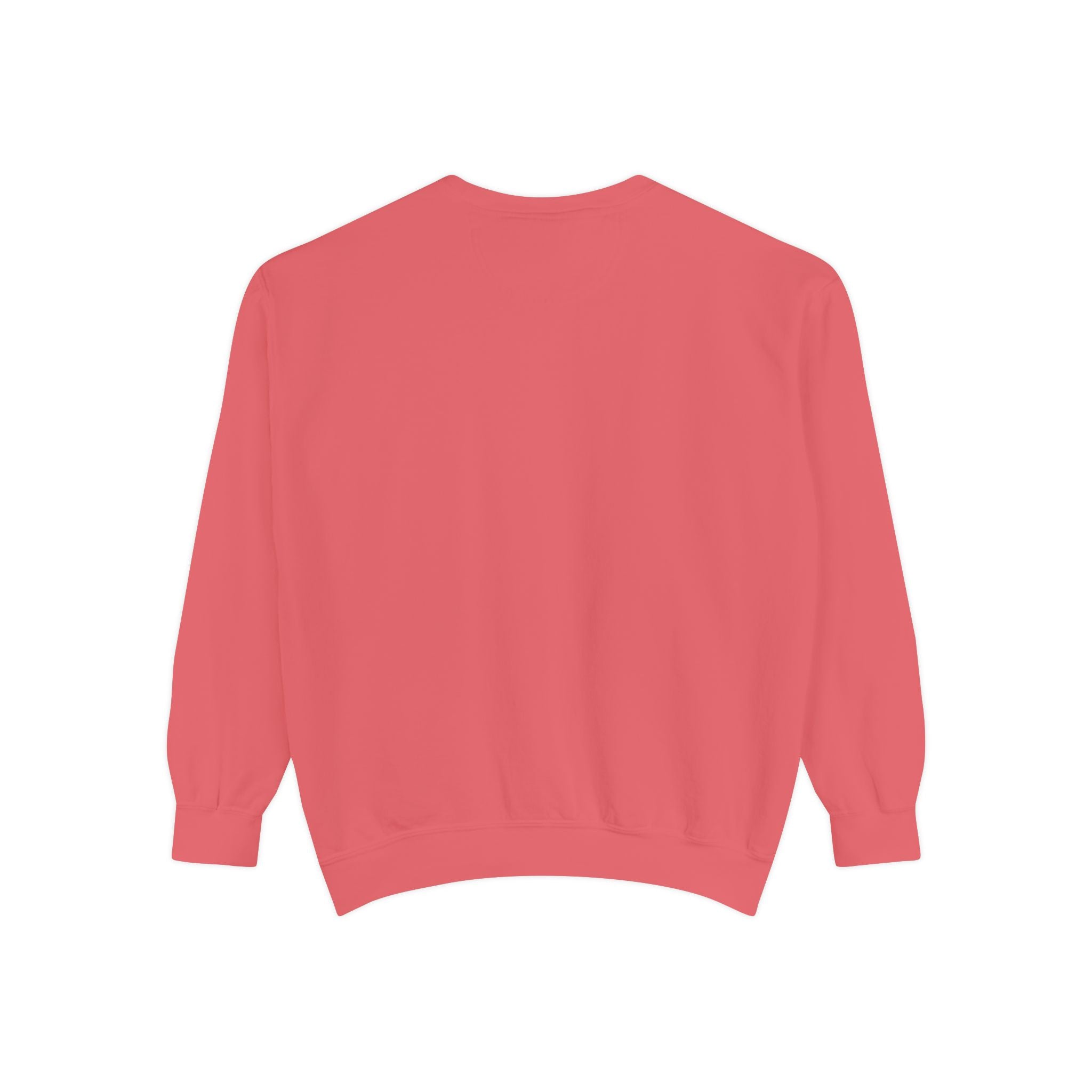 Funny Unisex Sweatshirt - "Just the Tip I Promise"