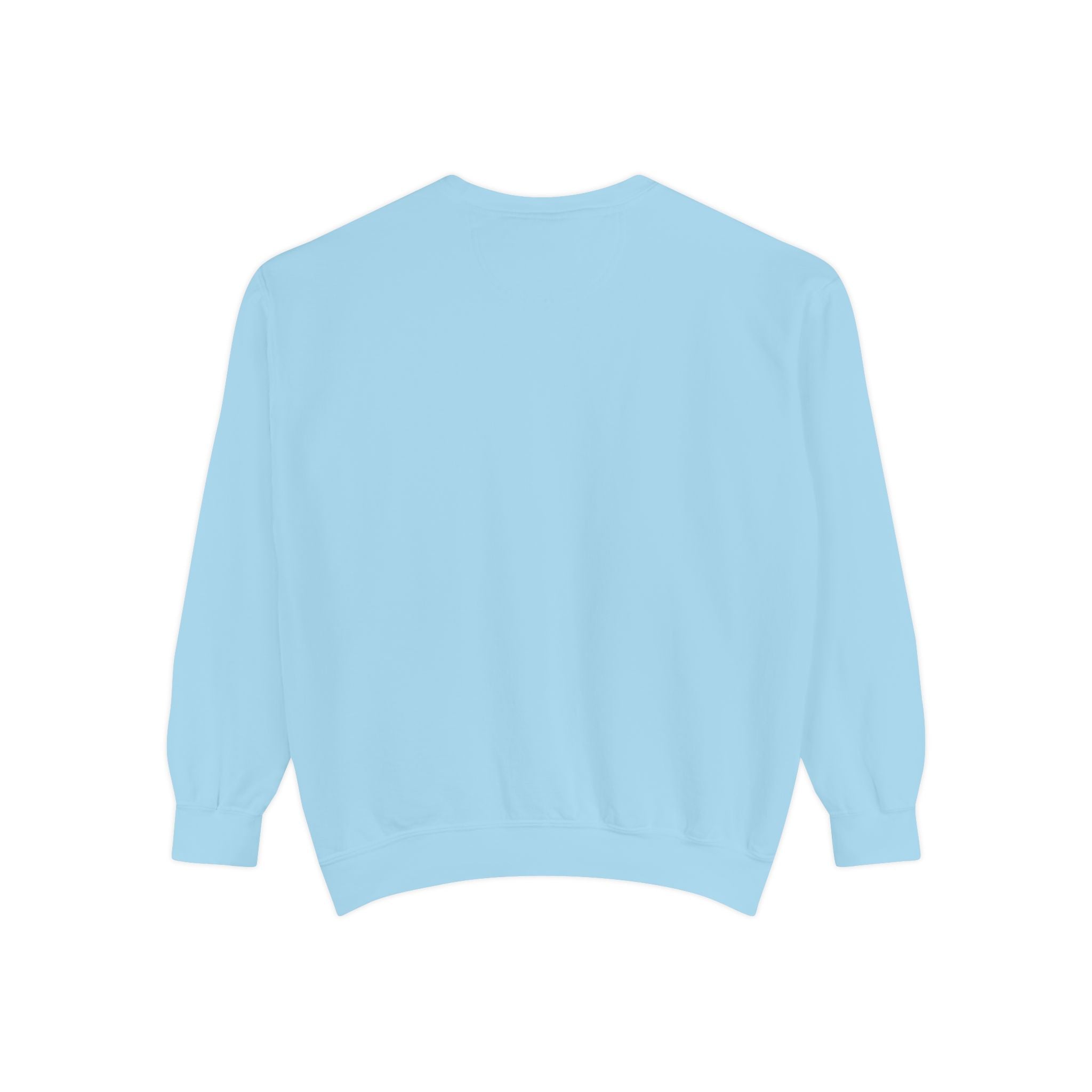Funny Unisex Sweatshirt - "Just the Tip I Promise"