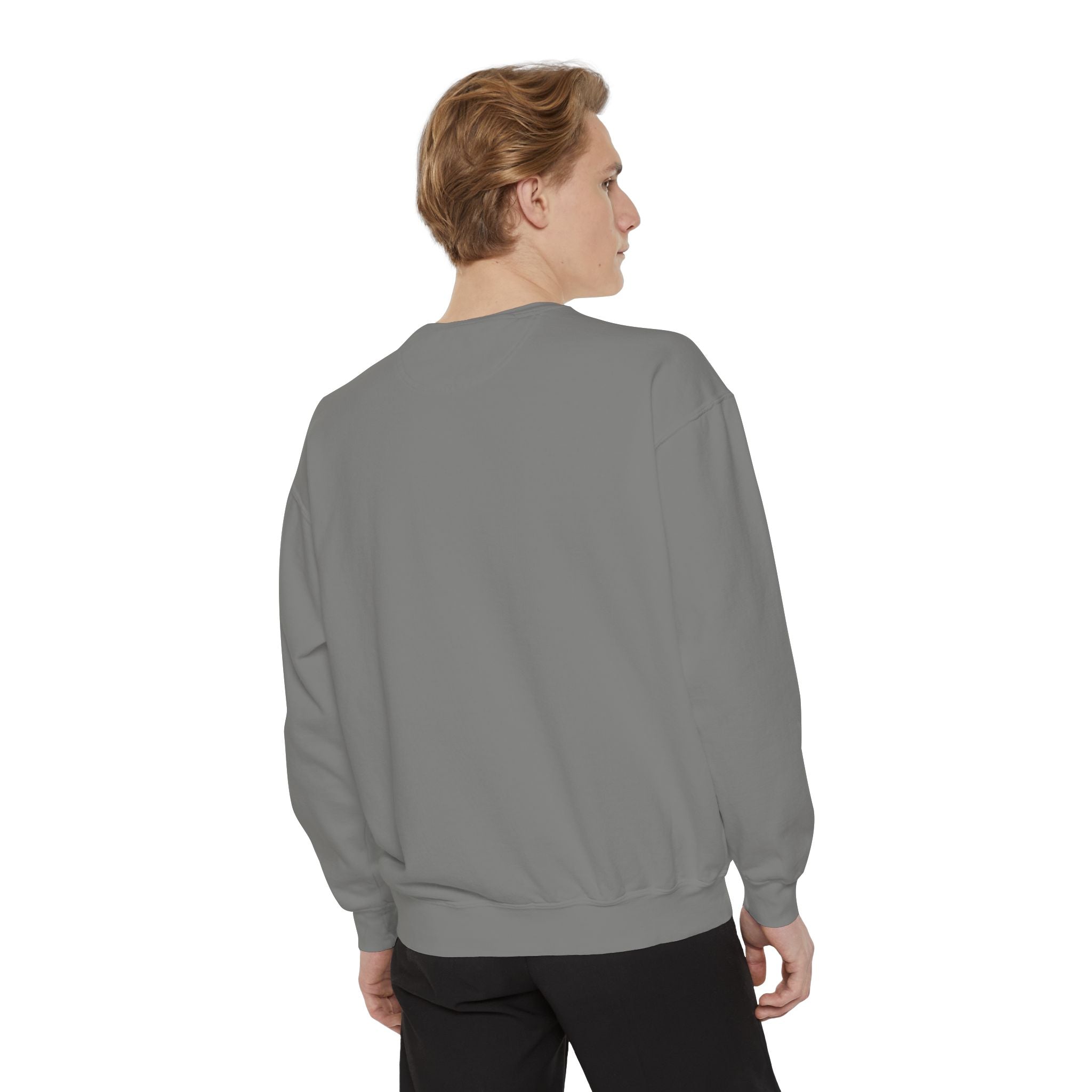 Funny Unisex Sweatshirt - "Just the Tip I Promise"