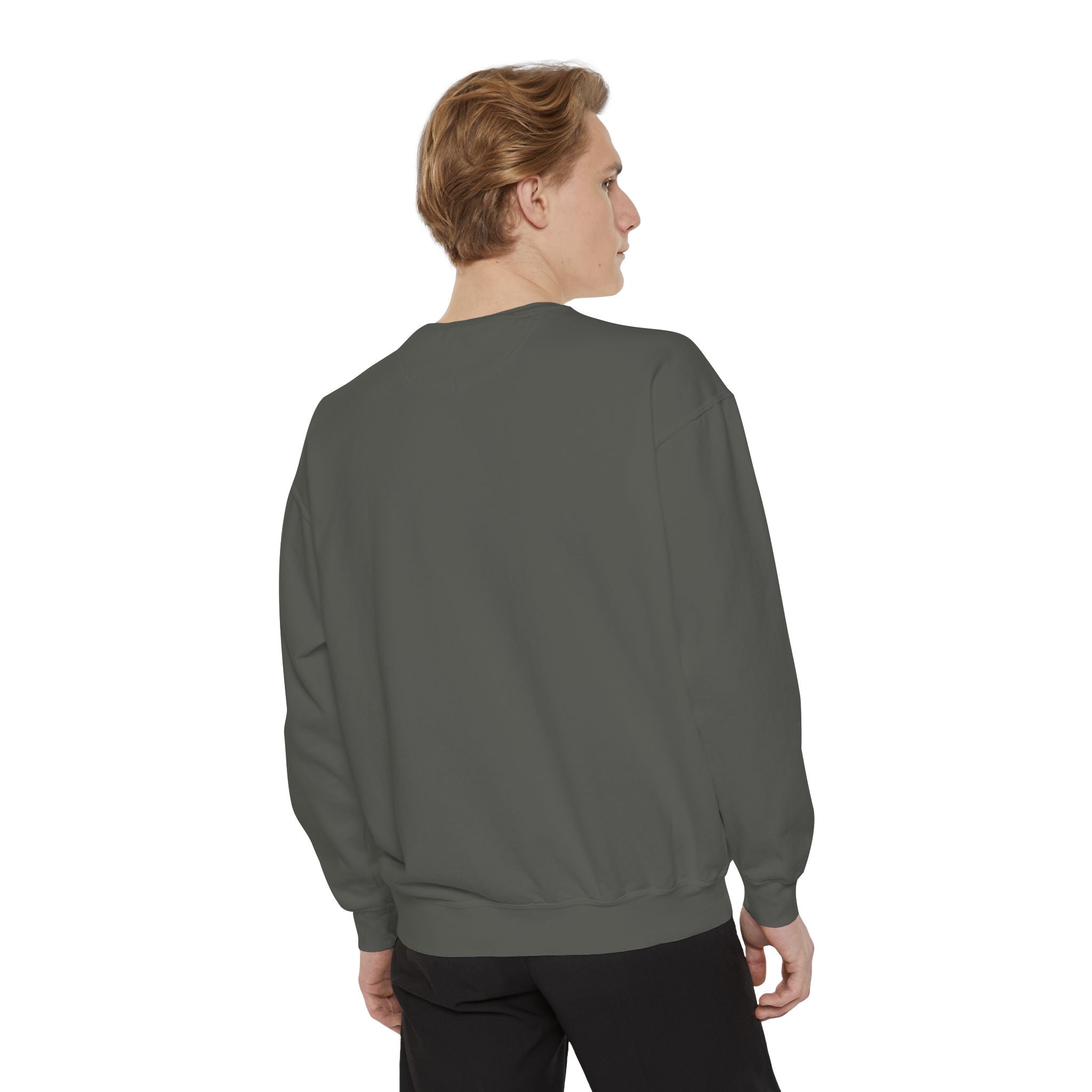 Funny Unisex Sweatshirt - "Just the Tip I Promise"