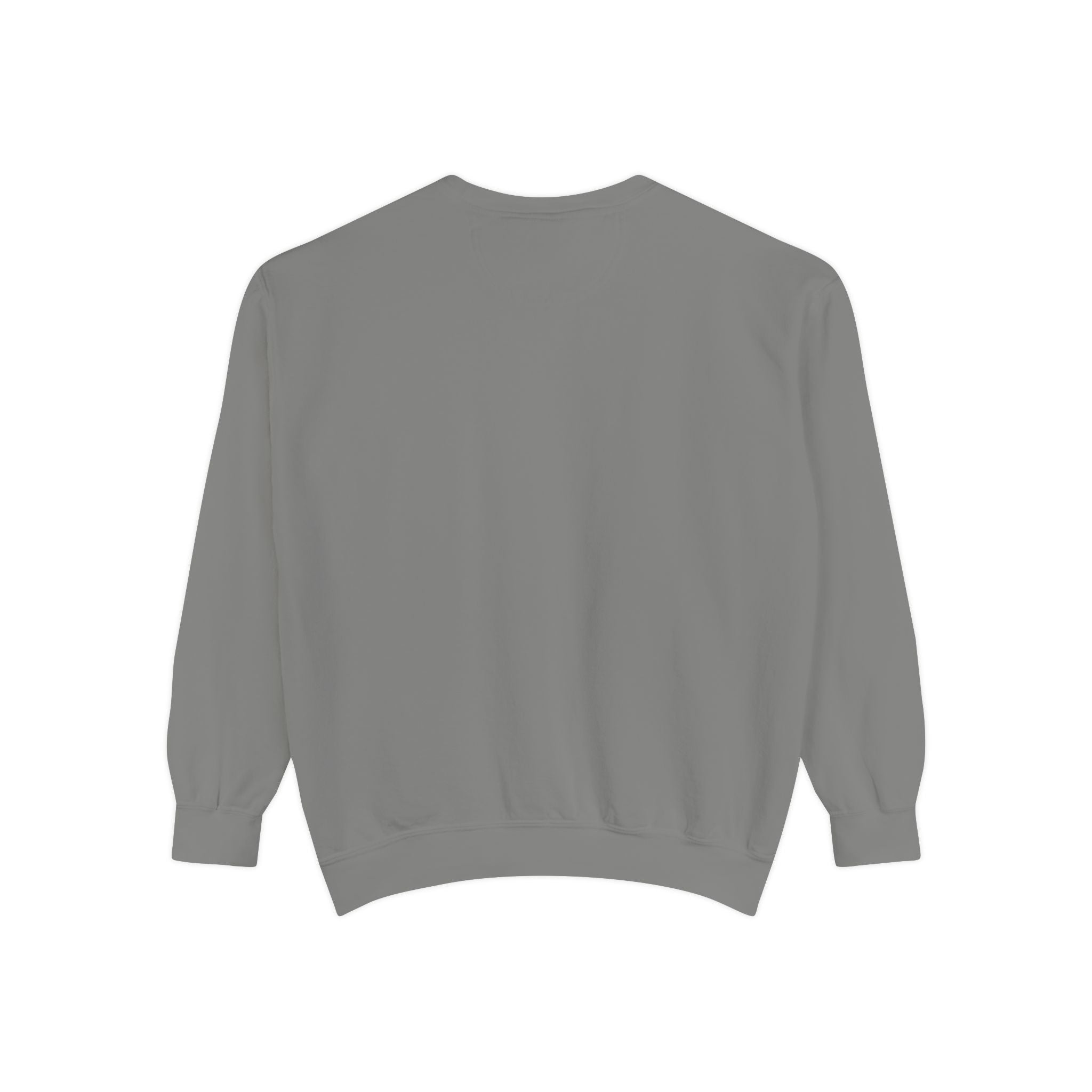 Funny Unisex Sweatshirt - "Just the Tip I Promise"