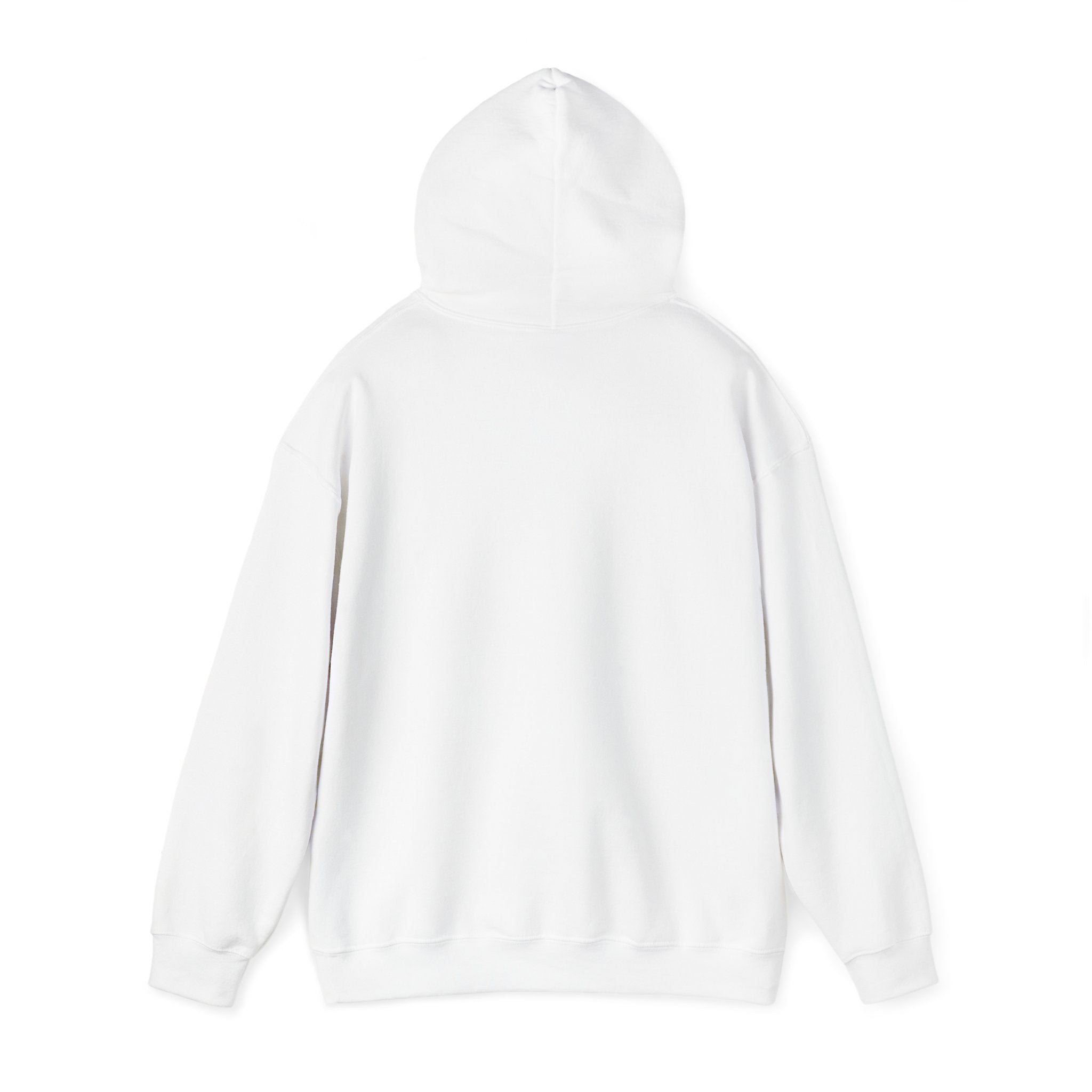 Motivational Hoodie: 'Never Let Your Fear Decide Your Future'