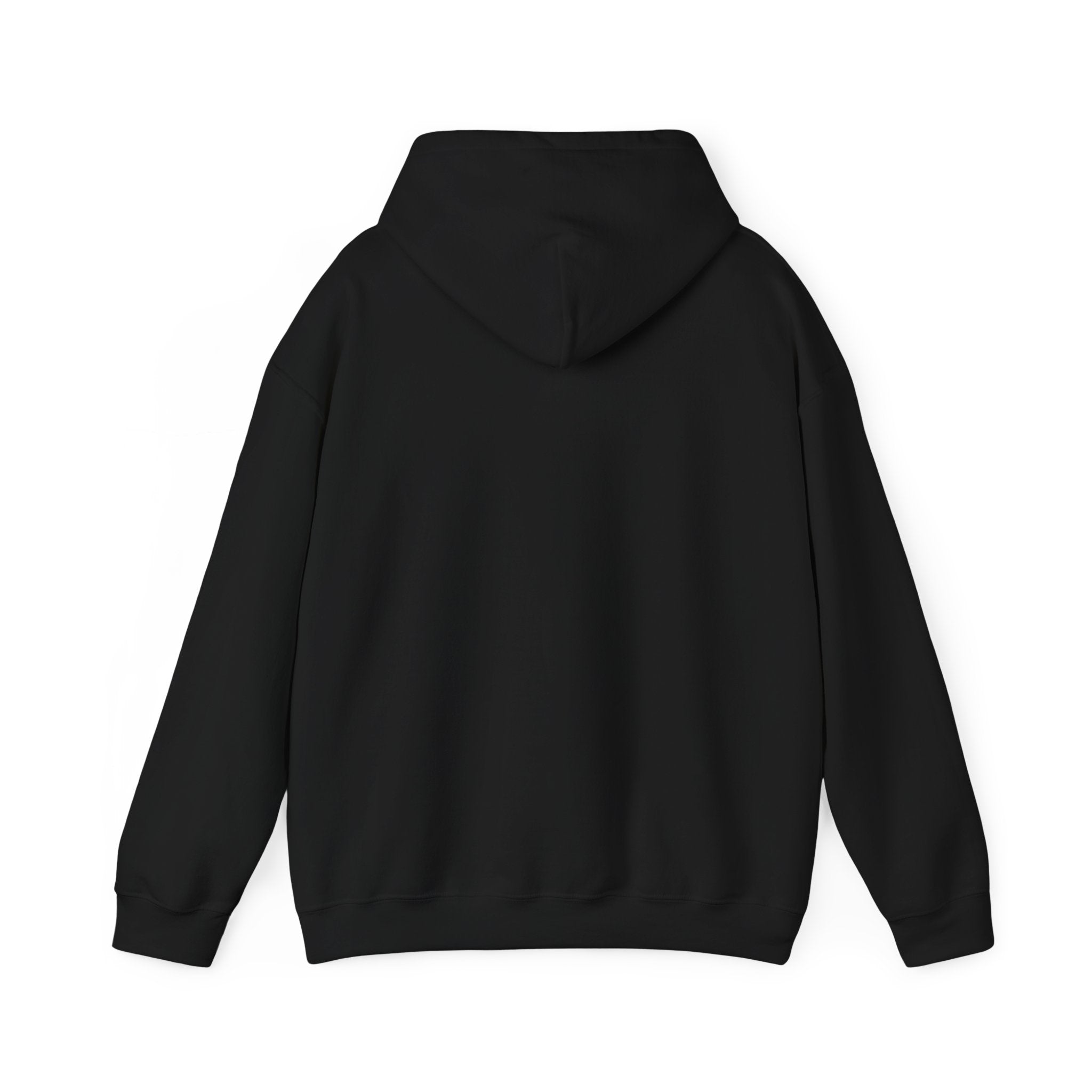 Motivational Hoodie: 'Never Let Your Fear Decide Your Future'