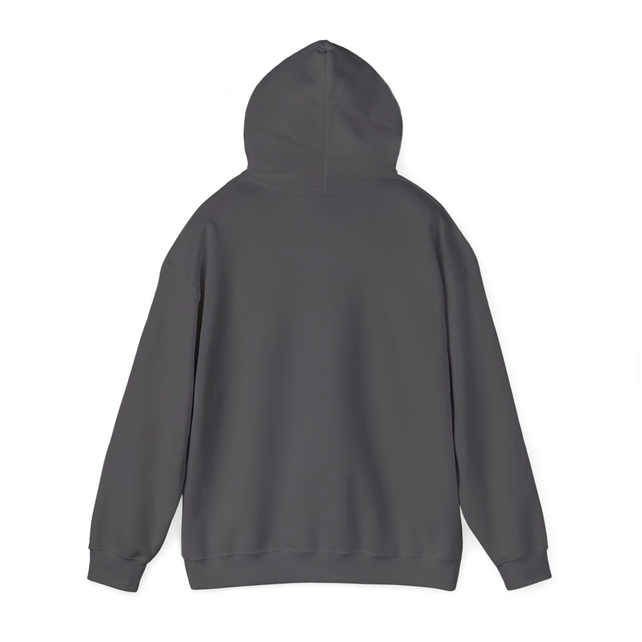 Motivational Hoodie: 'Never Let Your Fear Decide Your Future'